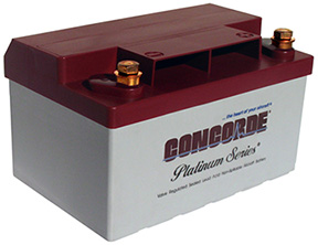 12/3/10- RG-12LSA Light Sport Aircraft Battery Shipping Now
