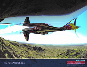 chambliss poster